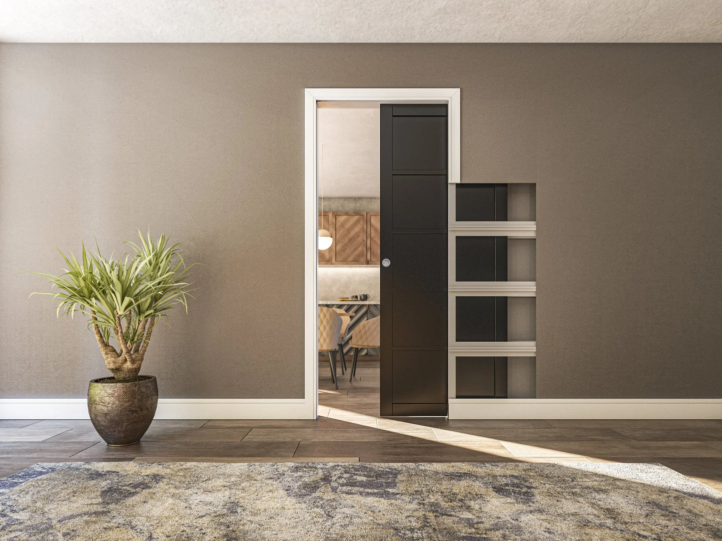 Single Pocket Doors