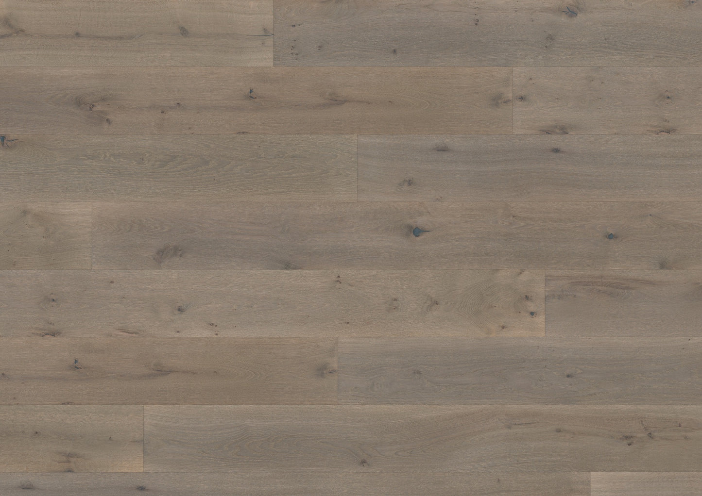 Sienna St Kitts Oak